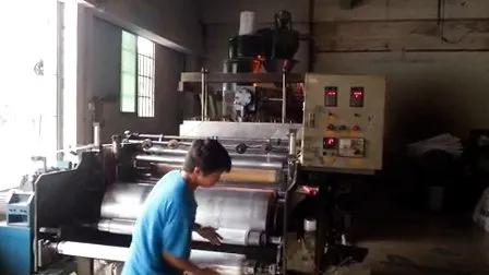 Plastic LLDPE/ PE Machine/ Hand Pallet Stretch/ Cling Wrapping Film/ Wrap/ Roll for Product Protection 